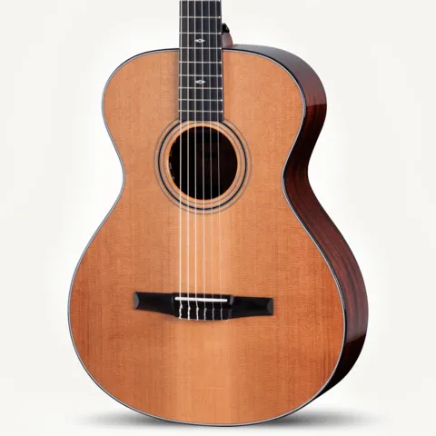 2024年の新アコースティックギター | Taylor Guitars